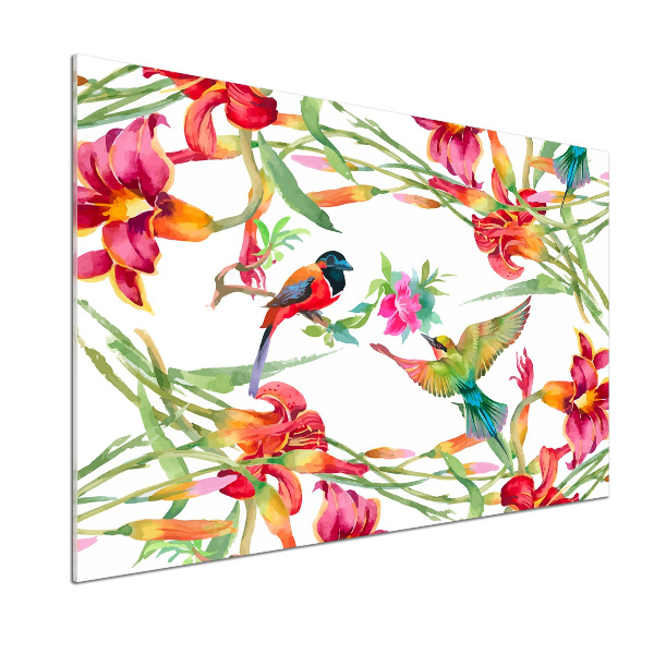 Rivestimento parete cucina con motivo di uccelli esotici