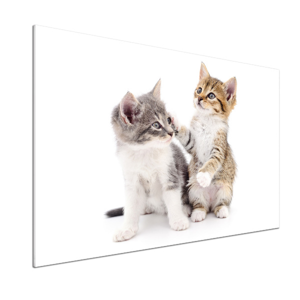 Rivestimento parete cucina con decorazione raffigurante due gattini