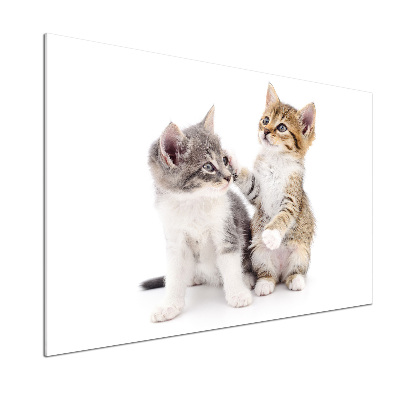 Rivestimento parete cucina con decorazione raffigurante due gattini