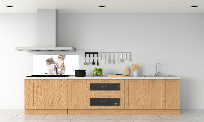 Rivestimento parete cucina con decorazione raffigurante due gattini