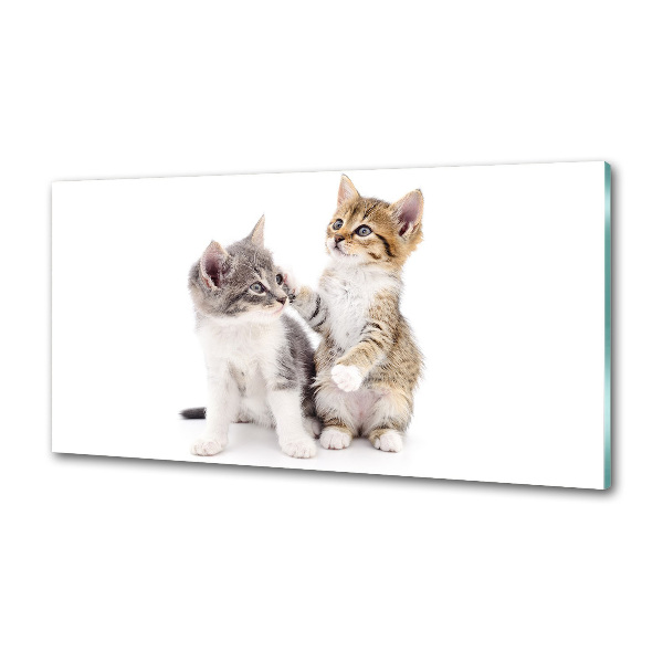 Rivestimento parete cucina con decorazione raffigurante due gattini