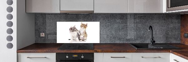 Rivestimento parete cucina con decorazione raffigurante due gattini