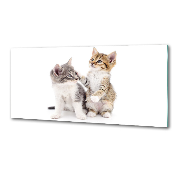 Rivestimento parete cucina con decorazione raffigurante due gattini