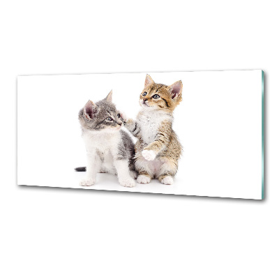 Rivestimento parete cucina con decorazione raffigurante due gattini