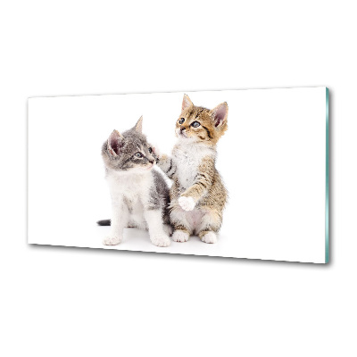 Rivestimento parete cucina con decorazione raffigurante due gattini