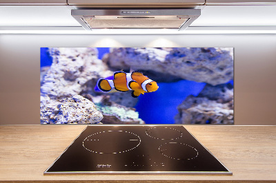 Pannello paraschizzi cucina con stampa del pesce pagliaccio della barriera corallina