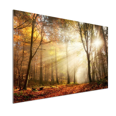 Rivestimento parete cucina con motivo 