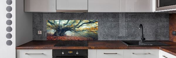 Rivestimento parete cucina con stampa raffigurante un vecchio albero