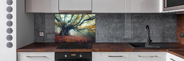 Rivestimento parete cucina con stampa raffigurante un vecchio albero