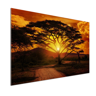 Pannello paraschizzi cucina con motivo Africa occidentale