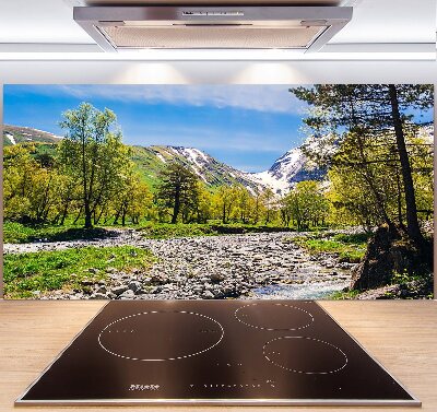 Pannello retrocucina con stampa 