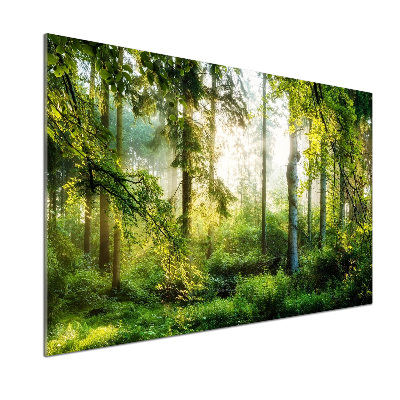 Pannello paraschizzi cucina con motivo 