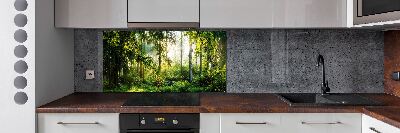 Pannello paraschizzi cucina con motivo 