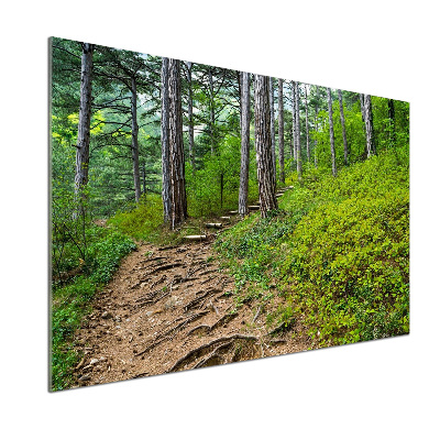 Rivestimento parete cucina con motivo Sentiero nel bosco