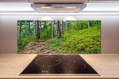 Rivestimento parete cucina con motivo Sentiero nel bosco