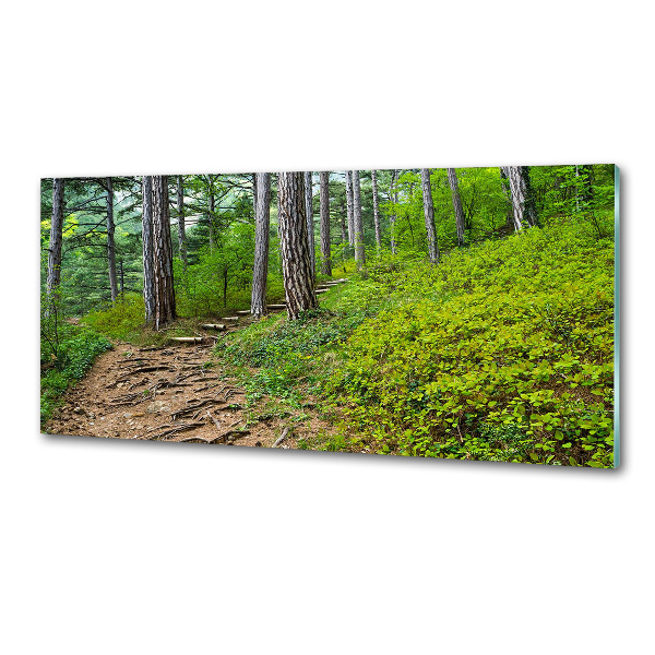 Rivestimento parete cucina con motivo Sentiero nel bosco