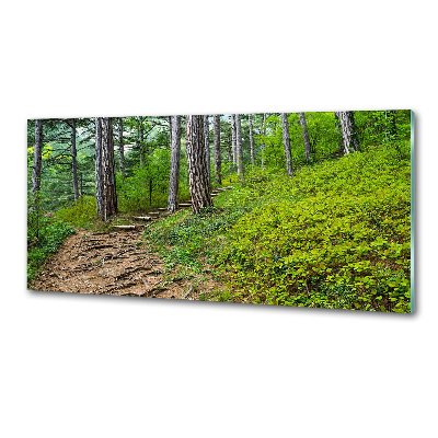 Rivestimento parete cucina con motivo Sentiero nel bosco