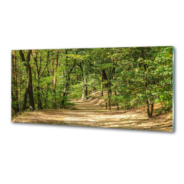 Rivestimento parete cucina con motivo Sentiero nel bosco