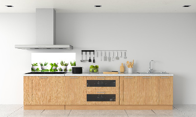 Rivestimento parete cucina con motivo a erbe