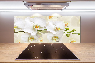 Pannello retrocucina con motivo orchidea