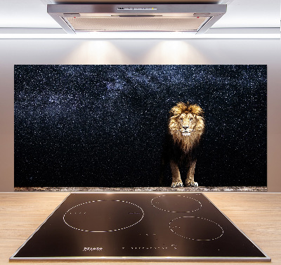 Rivestimento parete cucina con motivo di leone e stelle