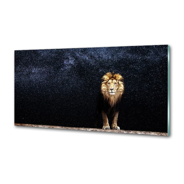 Rivestimento parete cucina con motivo di leone e stelle