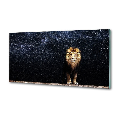 Rivestimento parete cucina con motivo di leone e stelle