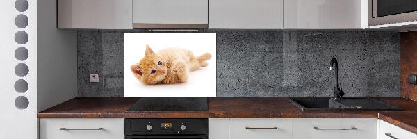 Pannello paraschizzi cucina con stampa di un gatto rosso