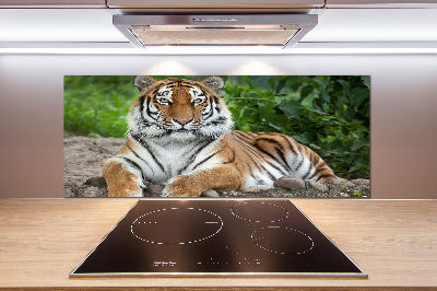 Pannello retrocucina con decorazione a motivo di tigre siberiana