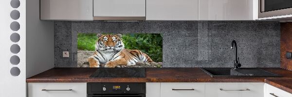 Pannello retrocucina con decorazione a motivo di tigre siberiana