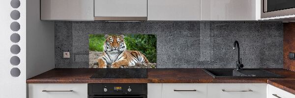 Pannello retrocucina con decorazione a motivo di tigre siberiana