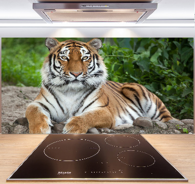 Pannello retrocucina con decorazione a motivo di tigre siberiana