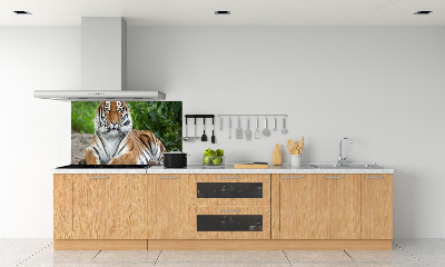 Pannello retrocucina con decorazione a motivo di tigre siberiana