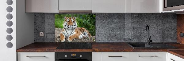 Pannello retrocucina con decorazione a motivo di tigre siberiana