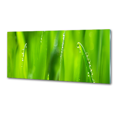 Pannello retrocucina in finitura Avena Giovane