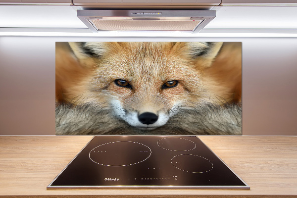 Pannello paraschizzi cucina con stampa a tema volpe