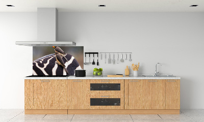 Rivestimento parete cucina con motivo di uccelli e zebra