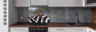 Rivestimento parete cucina con motivo di uccelli e zebra