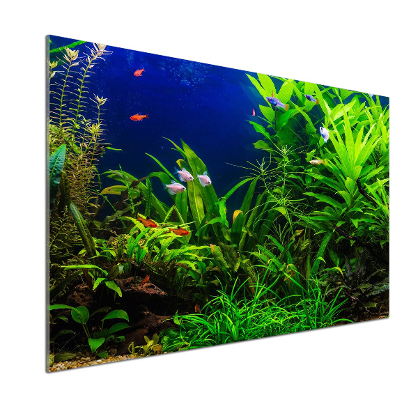 Rivestimento parete cucina con decorazione a motivo di pesci nell'acquario