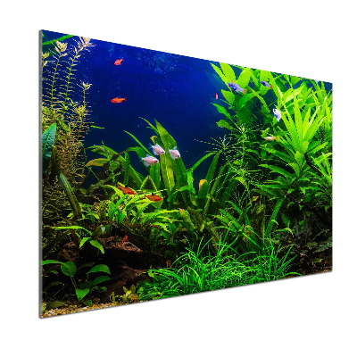 Rivestimento parete cucina con decorazione a motivo di pesci nell'acquario