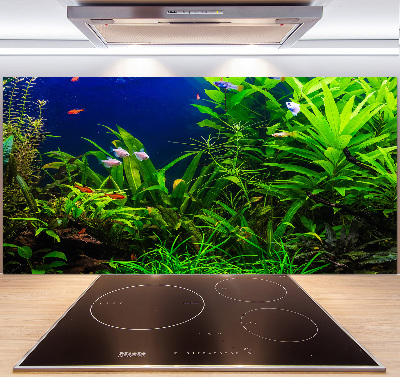 Rivestimento parete cucina con decorazione a motivo di pesci nell'acquario