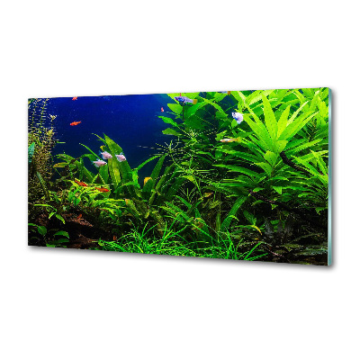 Rivestimento parete cucina con decorazione a motivo di pesci nell'acquario