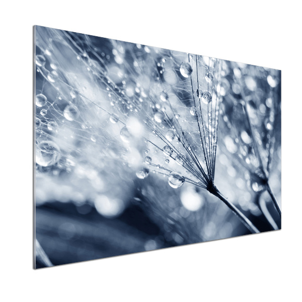 Pannello retrocucina con decorazione a semi di tarassaco