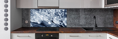 Pannello retrocucina con decorazione a semi di tarassaco