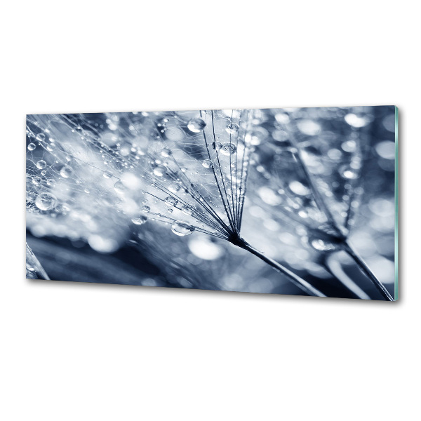 Pannello retrocucina con decorazione a semi di tarassaco