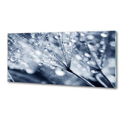 Pannello retrocucina con decorazione a semi di tarassaco