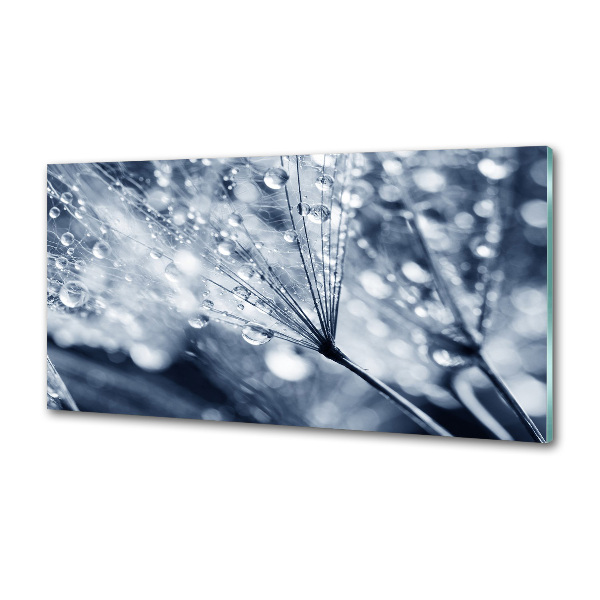 Pannello retrocucina con decorazione a semi di tarassaco