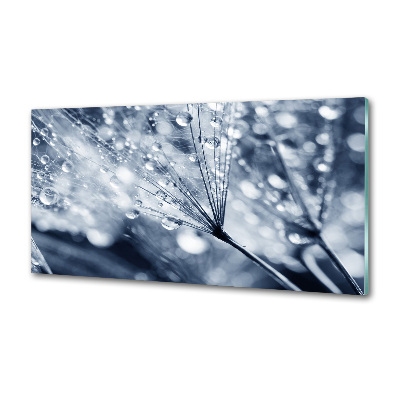 Pannello retrocucina con decorazione a semi di tarassaco