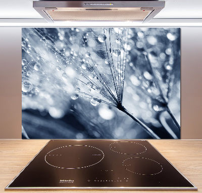 Pannello retrocucina con decorazione a semi di tarassaco