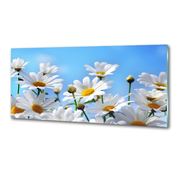 Pannello paraschizzi cucina con motivo di margherite